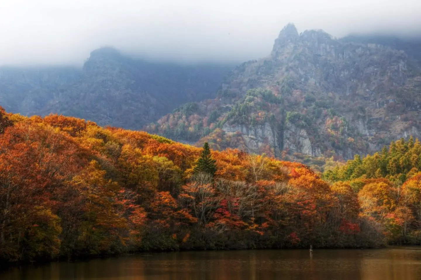 Photo: Yuya Sekiguchi / CC BY 2.0