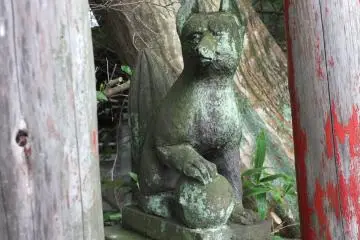 사당을 지키는 여우 두 마리 중 한 마리