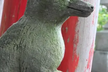 그들의 교활한 속임수에 경의를 표했다