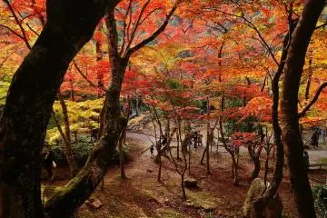 Zuihoji Park