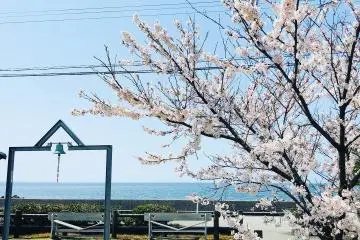 Shinkiro Road