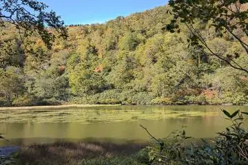 A lovely pond on the way up