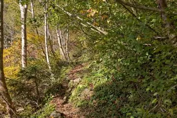 Picturesque trail along the pond