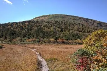 One of a few wetlands along the way