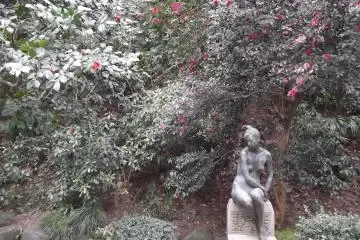 Among the greenery