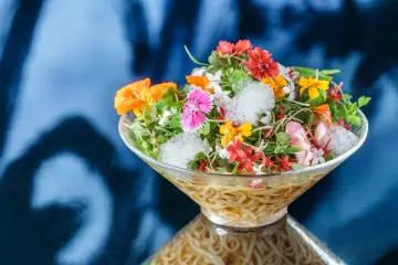 Vegan Ramen Uzu Tokyo