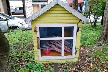 A tiny neighborhood library