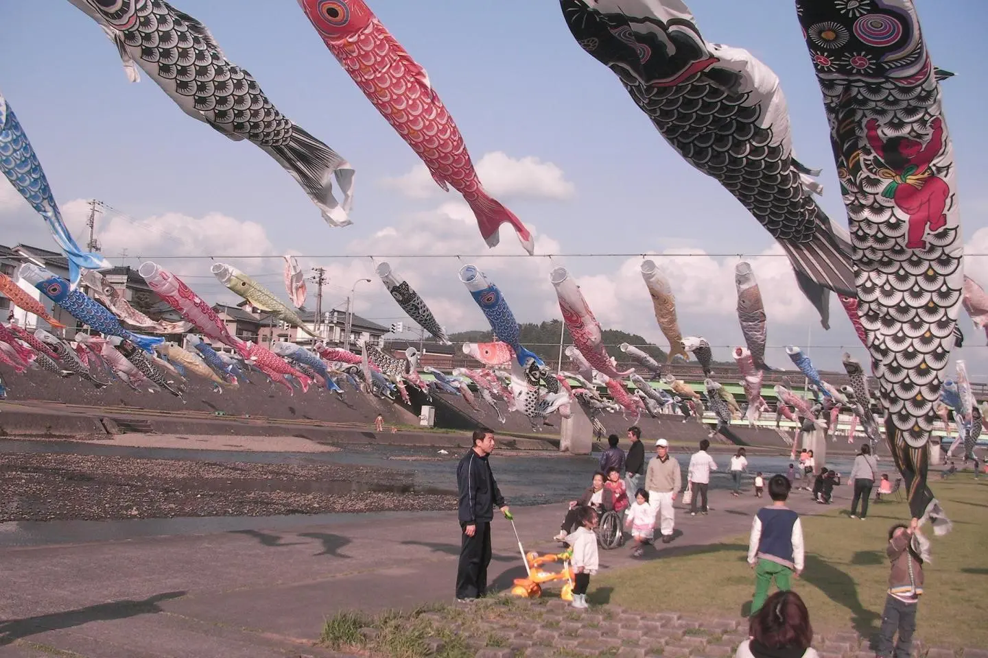 Kamo Koinobori Festival 2026