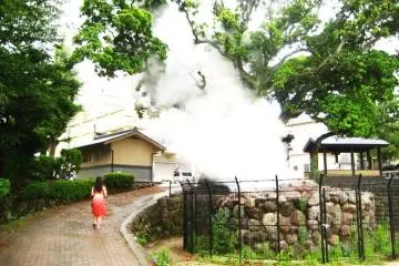 Steam pit