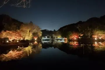 Yakushiike Park Autumn Leaves Festival 2021