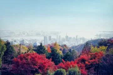 Photo: <a href="https://prtimes.jp/main/html/rd/p/000000060.000031184.html" target="_blank" rel="noreferrer noopener nofollow">Kobe Resort Service Co., Ltd - AKIHITO SHIMOMURA</a>