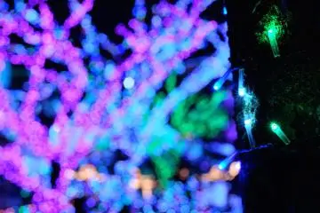 5 Festive Season Activities in Tokyo