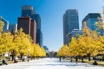 Gyoki-dori on a sunny autumn day