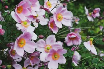 Beautiful nature everywhere (Photo by Susann Schuster)