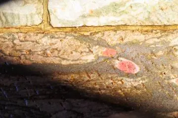 Image in stone of dragon