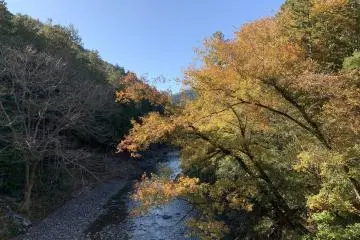 The Akigawa Valley in late November