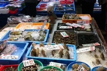 Fish R Us