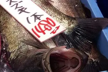 Open wide