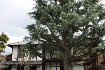 Joh and Yae's former mansion