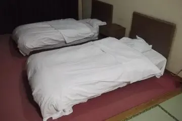 My twin beds