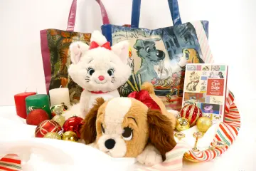 Some of the merchandise available for purchase at the event