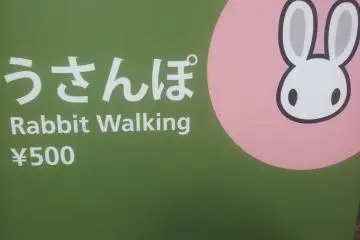 Rabbit Walking! A fool and his money....