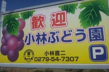 One of 13 orchards in the area