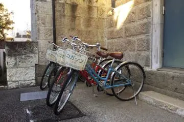 Free bicycle rental
