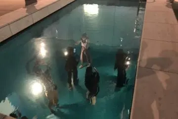 Immerse yourself in the 'swimming pool'