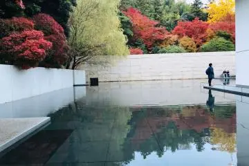 Water mirror garden