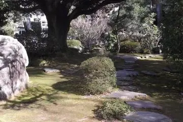 In the garden