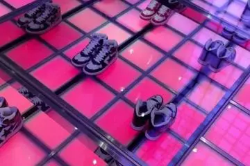 Moving shoe case