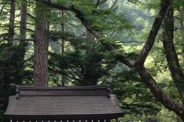 작은 묘진사 뒤에는 두 개의 미스테리하게 아름다운 연못이 있다