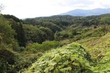 The green mountains will turn a snowy white in winter