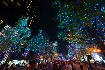 Photo: Osaka Festival of Light Executive Committee Secretariat