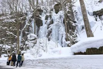 Winter Oirase Nature Guided Tour