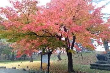 Autumn at Aizuwakamatsu Castle