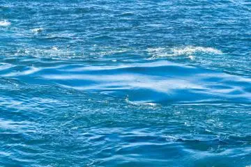 Whirlpool