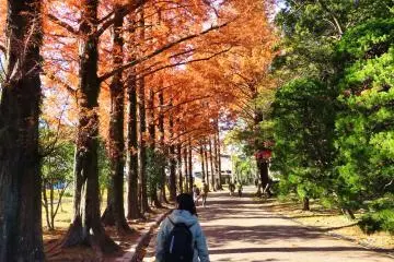 Exit walkway of Central Park, Tokushima
