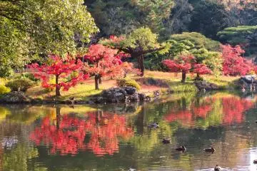 North Garden Fuyo-sho.