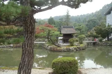 Contemplative pond