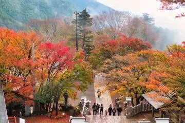 View from the lower Oyama-Afuri-Shimosa Shrine
