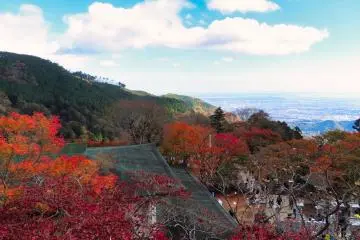 Fall colors