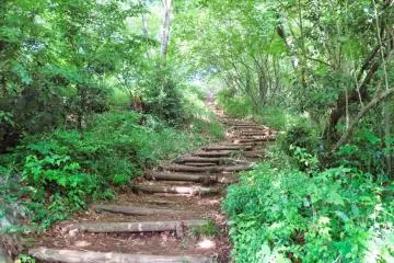 Steps up to the trail at Mt. Azuma