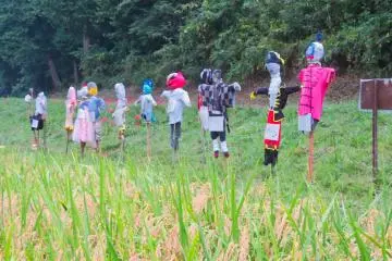 Oct 4th; Scarecrows protecting rice paddies