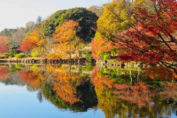 Dec 8th; Fall at Oike Pond