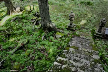 Photo: This dream-like place was partly hidden and fully covered in moss. – Virginia Gonzalez / JT