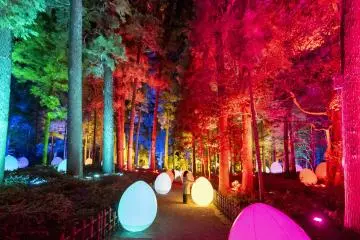 TeamLab Kairakuen Light Festival 2022