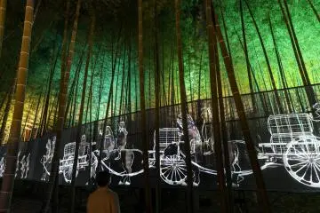 Projection mapping by the bamboo grove at Kairakuen