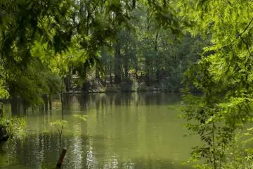 ทะเลสาบสุดตื่นตากลางป่าเล็กเป็นบริเวณที่สวยงามและสงบ